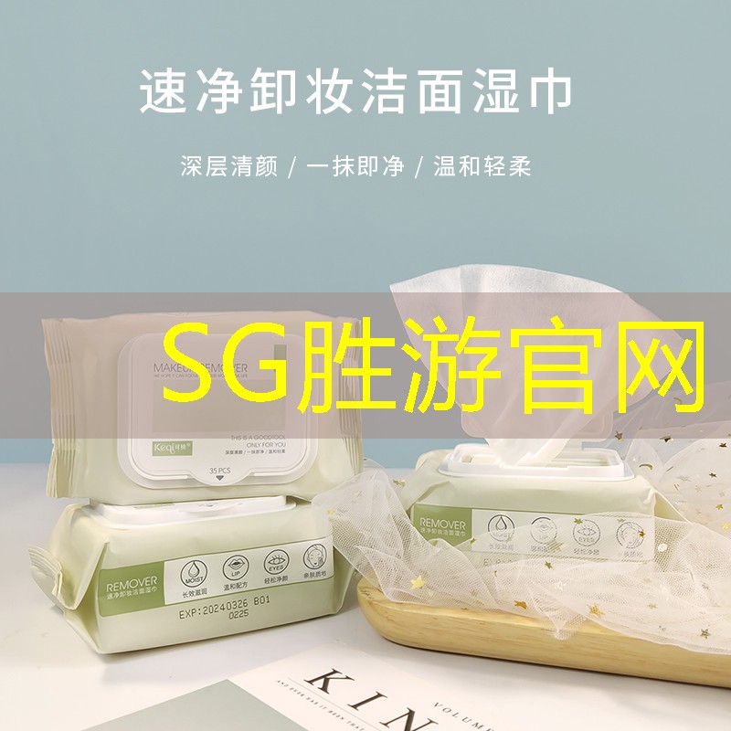 SG胜游官网：原画师做的游戏叫什么名字