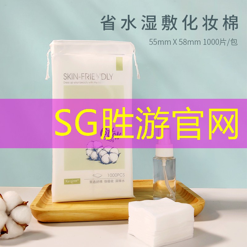 SG胜游官网：湾岸3d游戏手机版官网